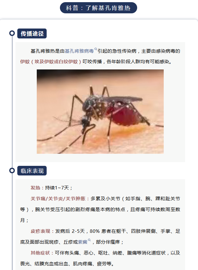 wechat_2025-08-08_091754_125.png